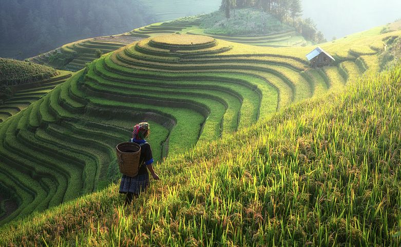 סין הכפרית אילוסטרציה: צילום Pixabay