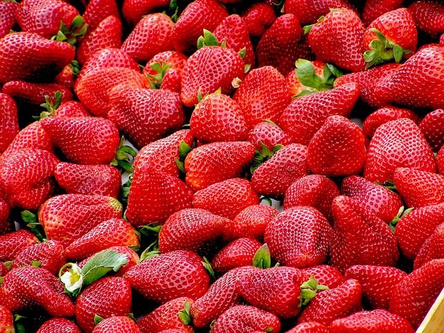 תותים אילוסטרציה צילום Pixabay