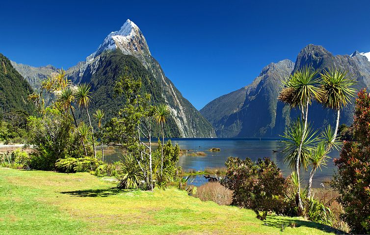 ניו זילנד אילוסטרציה (צילום: Pixabay)